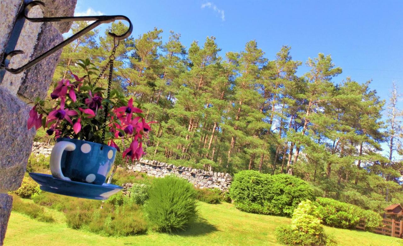 Serendipity Bed And Breakfast Dalchreichart Екстериор снимка